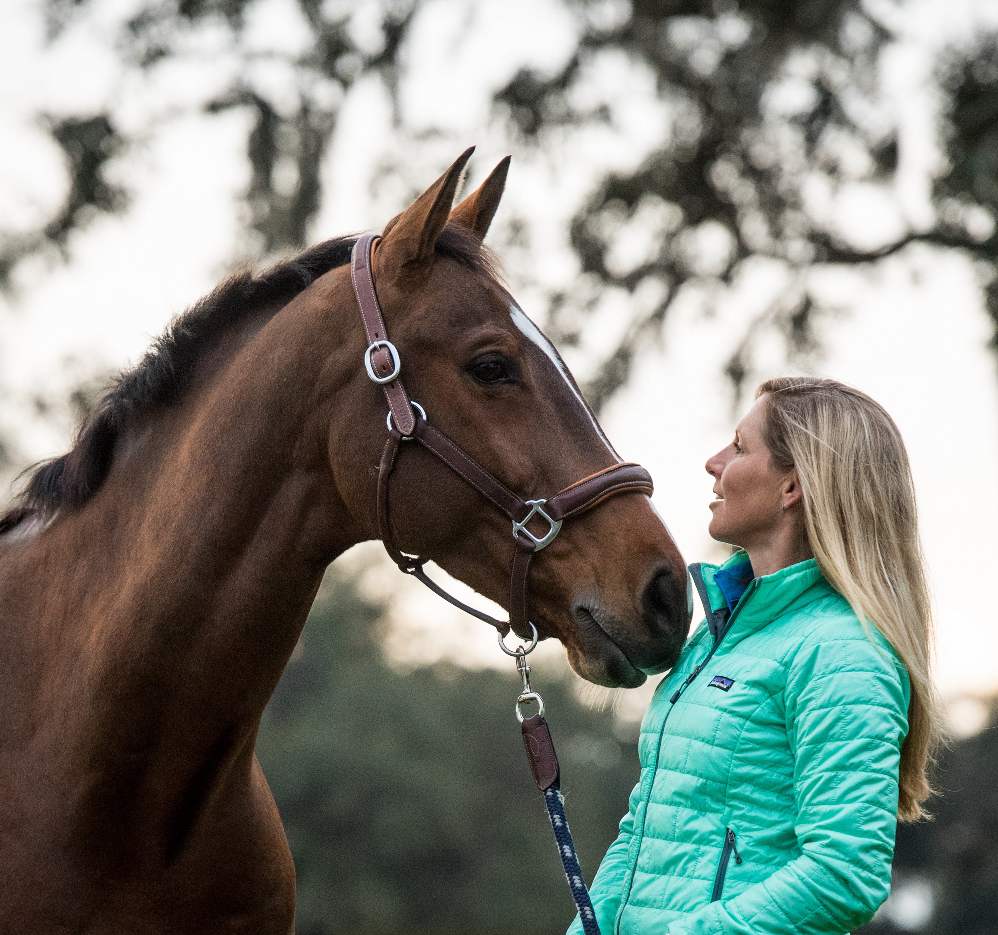 A High-Pressure, High-Speed Life (Just the Way She Likes It): Stabling With Liz  Halliday-Sharp