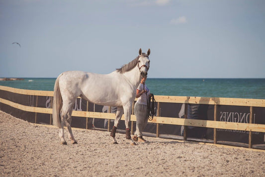 LGCTMiami 2016