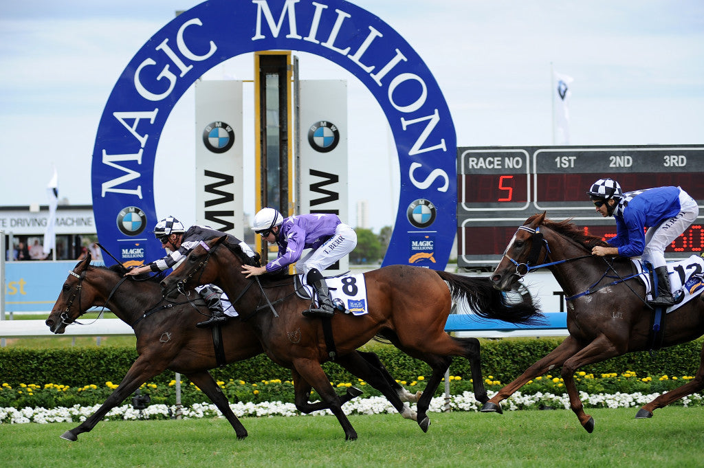 Magic Millions Race-Day