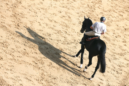 Developing Confidence as a Skill in Equestrian Sport