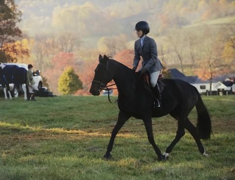 Ten Things Show Jumper Sloane Coles Has Learned From Riding In the Hunt Field