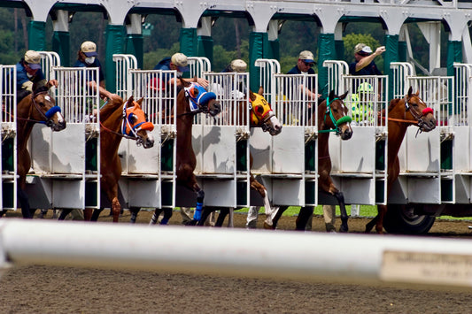 After a Slew of Equine Fatalities, What's Happening at Santa Anita Park?