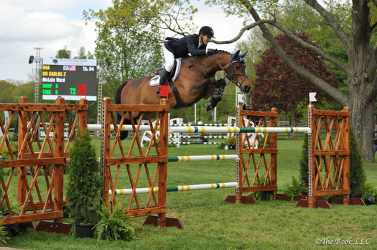 McLain Ward and HH Carlos Z. Ph. The Book LLC