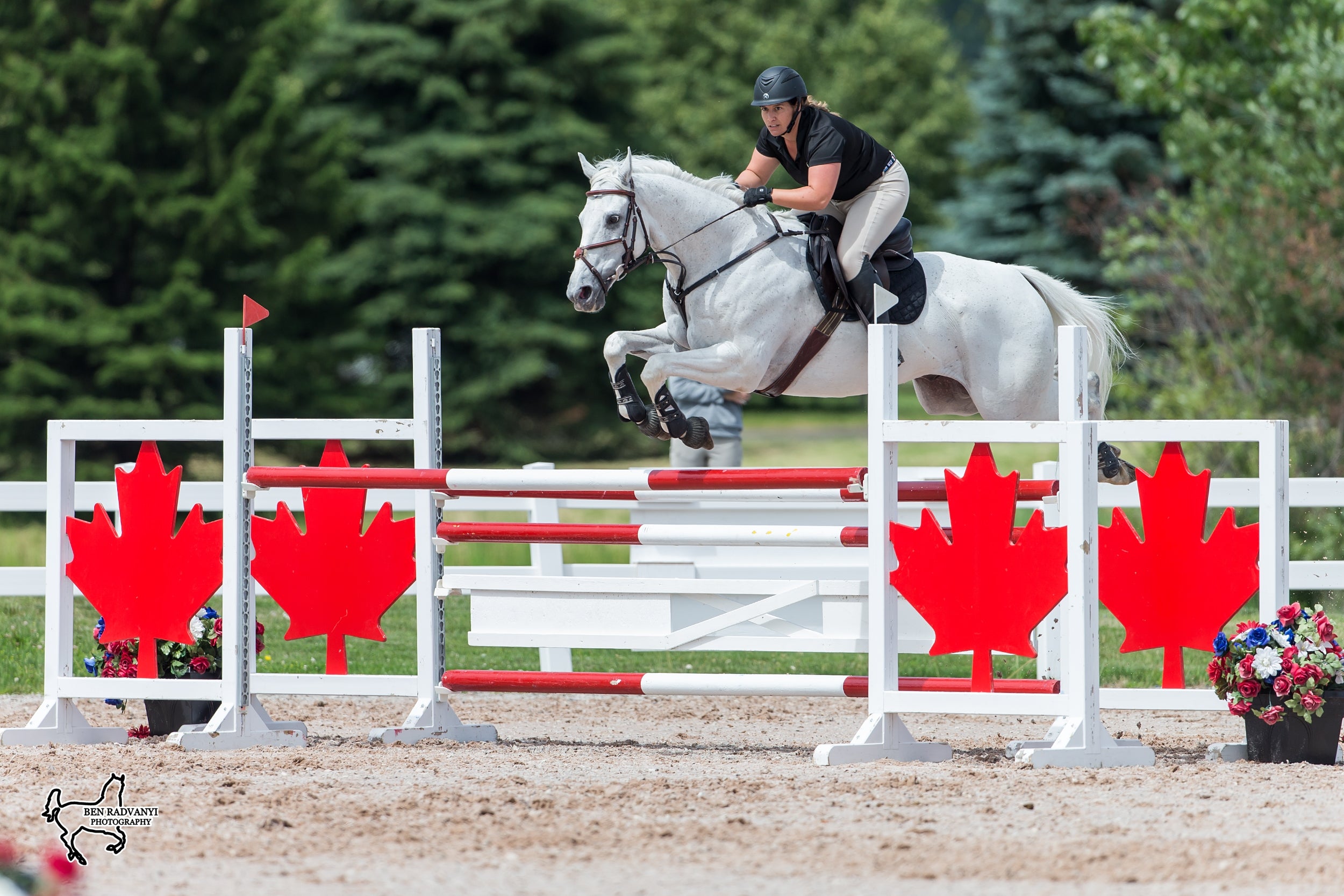 Horse of the Week: Run Forrest Run