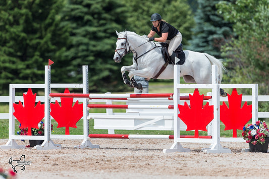 Horse of the Week: Run Forrest Run
