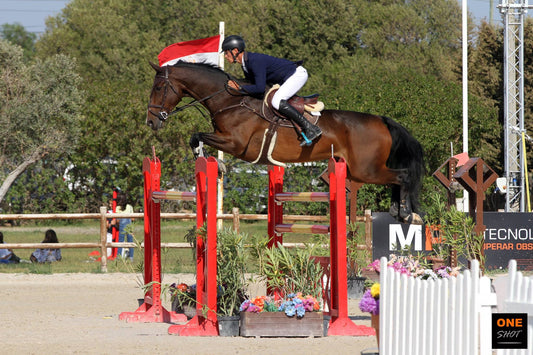 Kevin Jochems Leads the Field in €25,000 Grand Prix at Vilamoura Champions Tour CSI3*