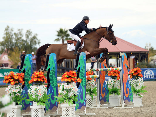 Week III Winner: Chris Pratt & Concorde Victorious in $75,000 Purina Animal Nutrition Grand Prix at HITS Coachella