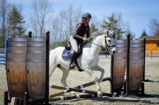 Catching Up with Chelsea Canedy and Her Amazing Mustang Luna