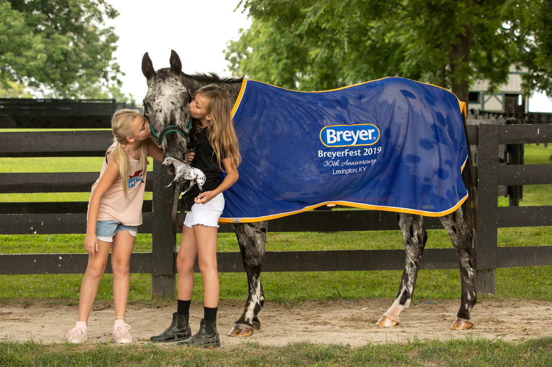 Blind Trust: ‘Zip’ Went from Show Horse to Therapy Horse Despite Losing His Vision