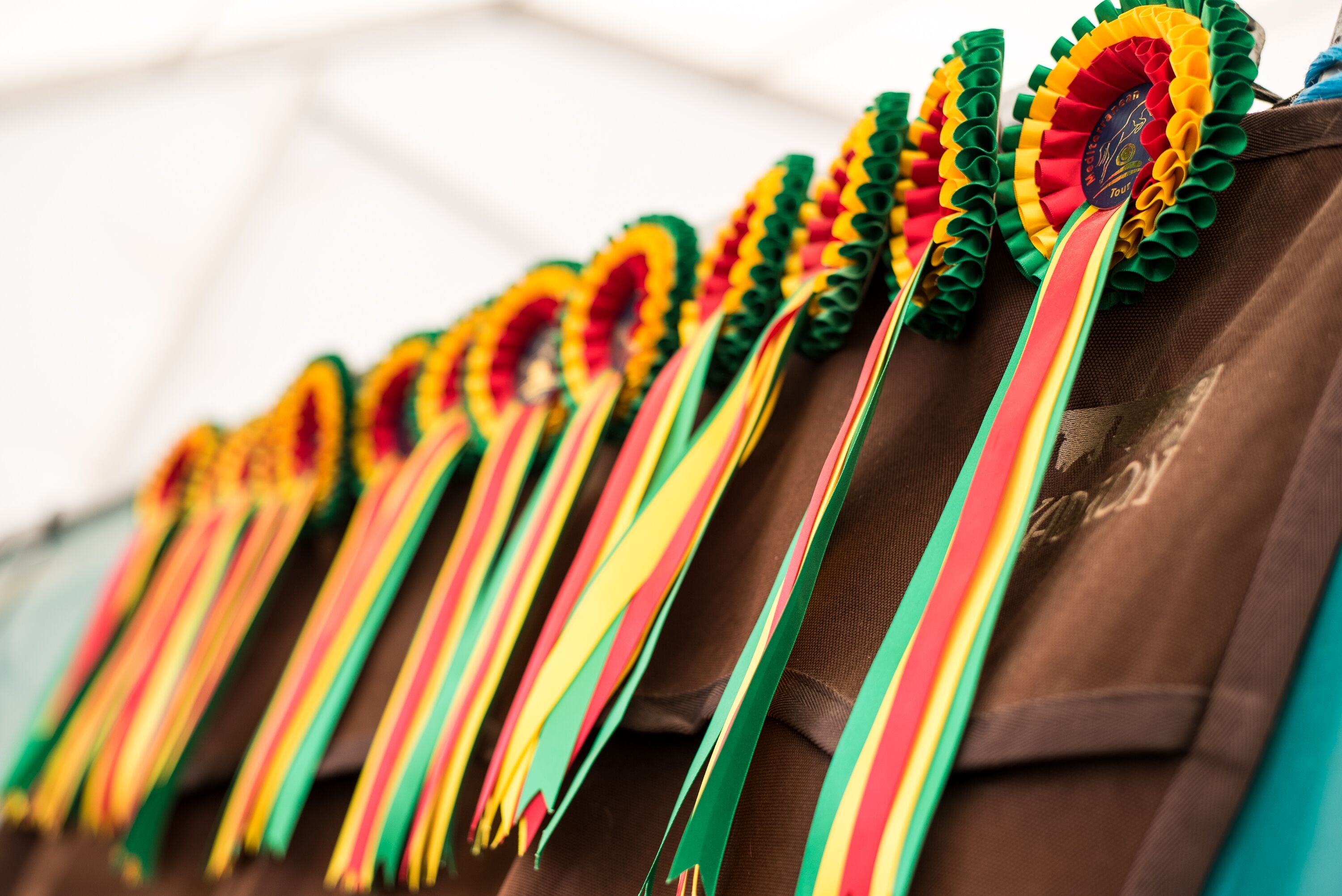 'Is My Body Type Keeping Me Out of the Equitation Ribbons?' – NOËLLE FLOYD