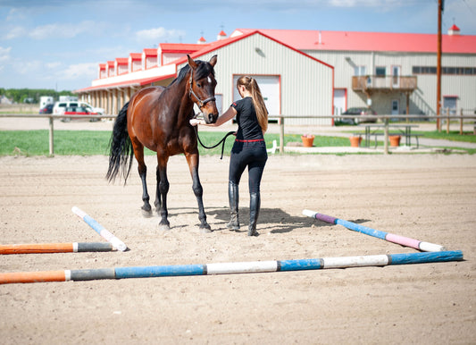 5 Things a Physiotherapist Wants You to Know About Horse and Rider Health