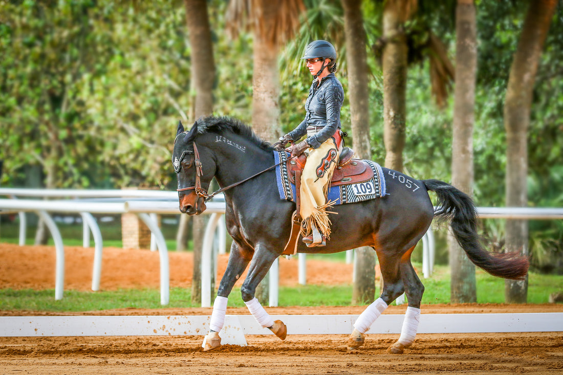 Hello, Celebrity Status: Cobra's 5 Steps to Becoming a Breyer Horse Model