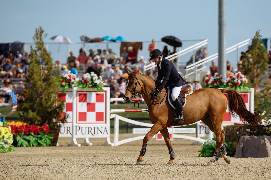 Confirmed Horse & Rider List for AIG $1 Million Grand Prix at HITS Coachella