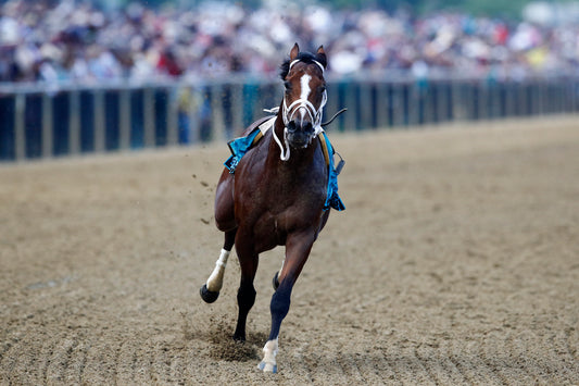 Why I Ditched My Jockey: Bodexpress’s Quest for Fame in His Own Words