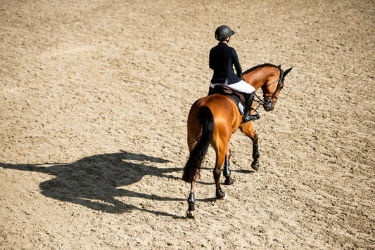 Reset Your Riding: Two Exercises for Staying Balanced Through the Turn from Sloane Coles