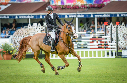 New Team, New Horse, No Problem: What Alberto Michan is Packing for the World Equestrian Games