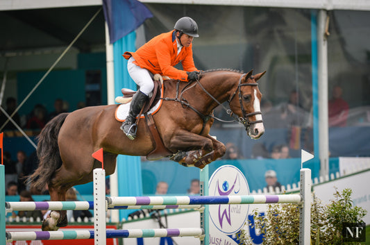 Aquila SFN and Wout Van Der Schans jump at La Baule CSIO5* 2016