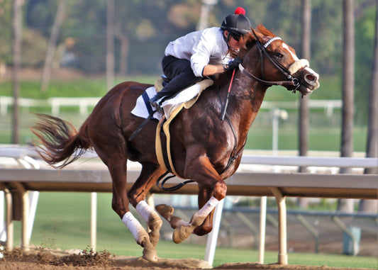 'I Want to Prove Them Wrong': Why a Young Eventer Left His Sport to Join Mike Smith at the Racetrack