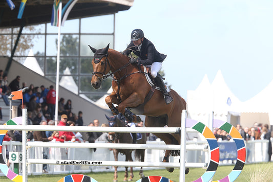 Phedras De Blondrel competing at Le Touquet, 2014 with rider Christian Hermon Ph. studforlife.com