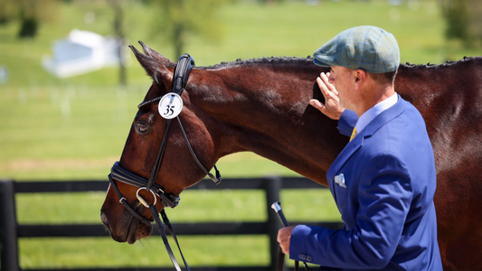 An Open Letter to the Horse World from Matt Brown and Cecily Clark