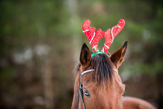 Happy Holidays From Our Barn to Yours