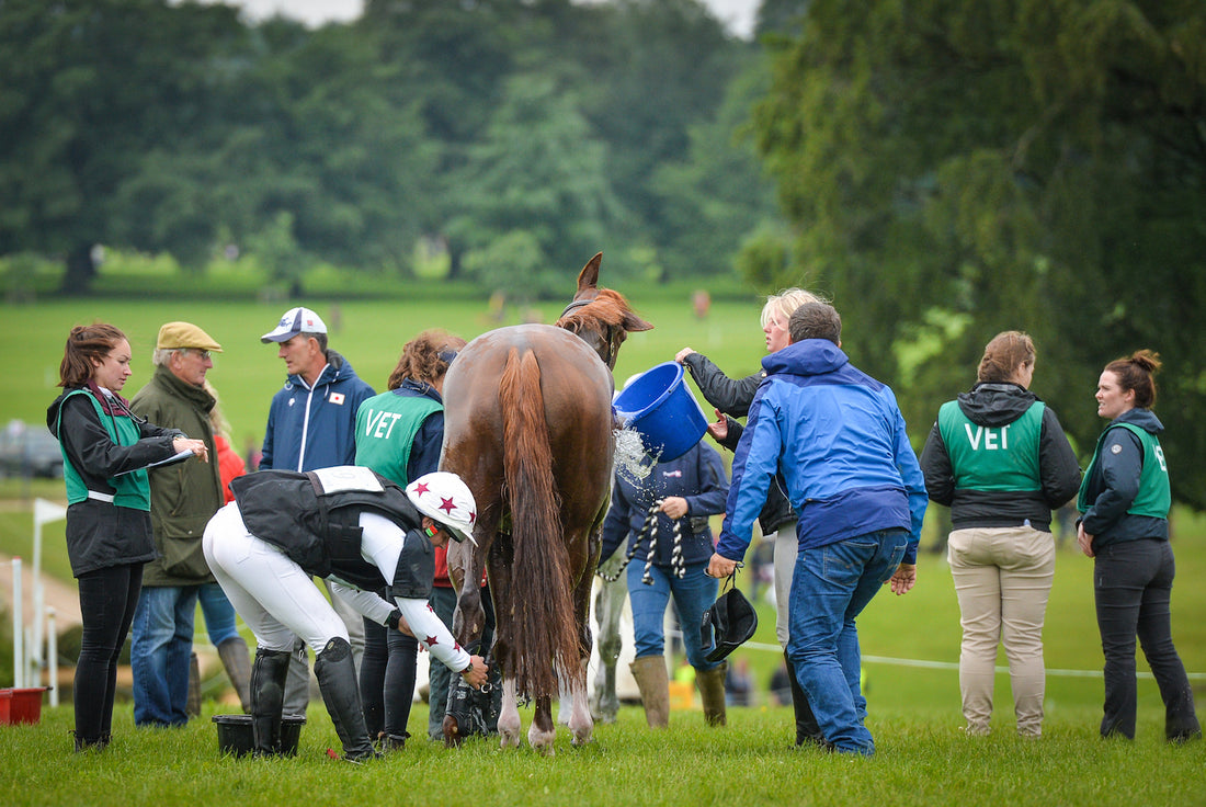 Take It From the Eventers: How to Manage Your Horse Before, During, and After Intensive Competition