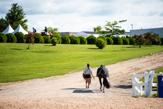 Confessions of an Equestrian Workaholic