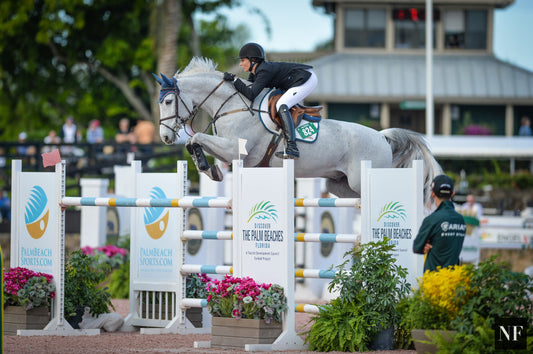 International Riders List for WEF Week 9 CSI2*