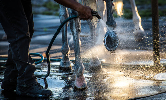 Ask Us: Three Key Ways to Manage Your Horse’s Feet This Summer