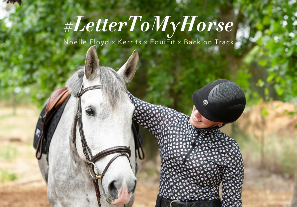 'Letter to My Horse' Contest: Get Published on NoelleFloyd.com and Win Prizes!