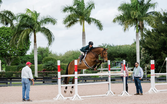 10 Minutes Out: How Liza Boyd Gets Tradition Ready to Win a Hunter Derby