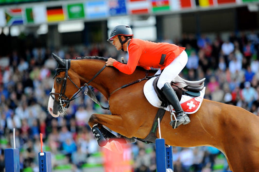     Schwizer and Toulago at the 2014 Alltech World Equestrian Games for Switzerland 