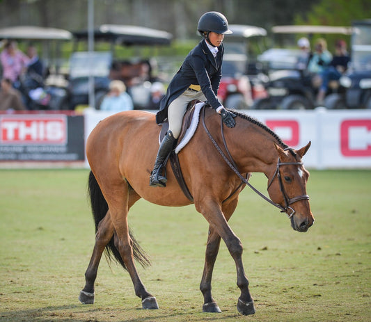 Quiz: What Kind of Rider Does Your Horse Think You Are?