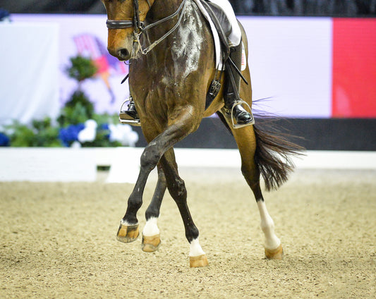 No Point Left Behind: 5 Changes to the National Dressage Tests (and How to Ride Them Right)