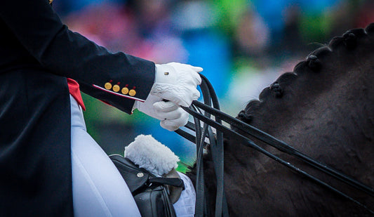 These 7 Horses Will Make You Fall in Love With Dressage (Again)