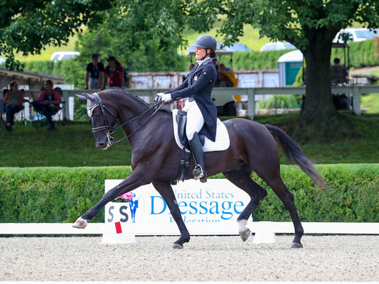 What Does It Take to Convince a Gung-Ho Young Jumper to Switch to Dressage?