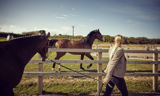 What to Do When You Can't Catch Your Horse... and It's Not Funny Anymore