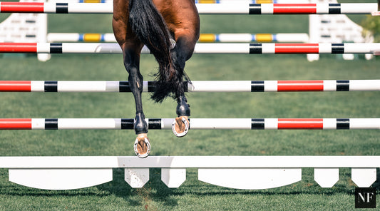 Proposed Global Harmonization of FEI Entry Fees Draws Opposition