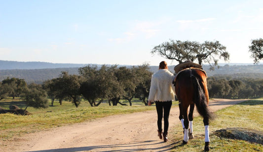 Dressage in Paradise: An Equestrian’s Dream Vacation in Portugal