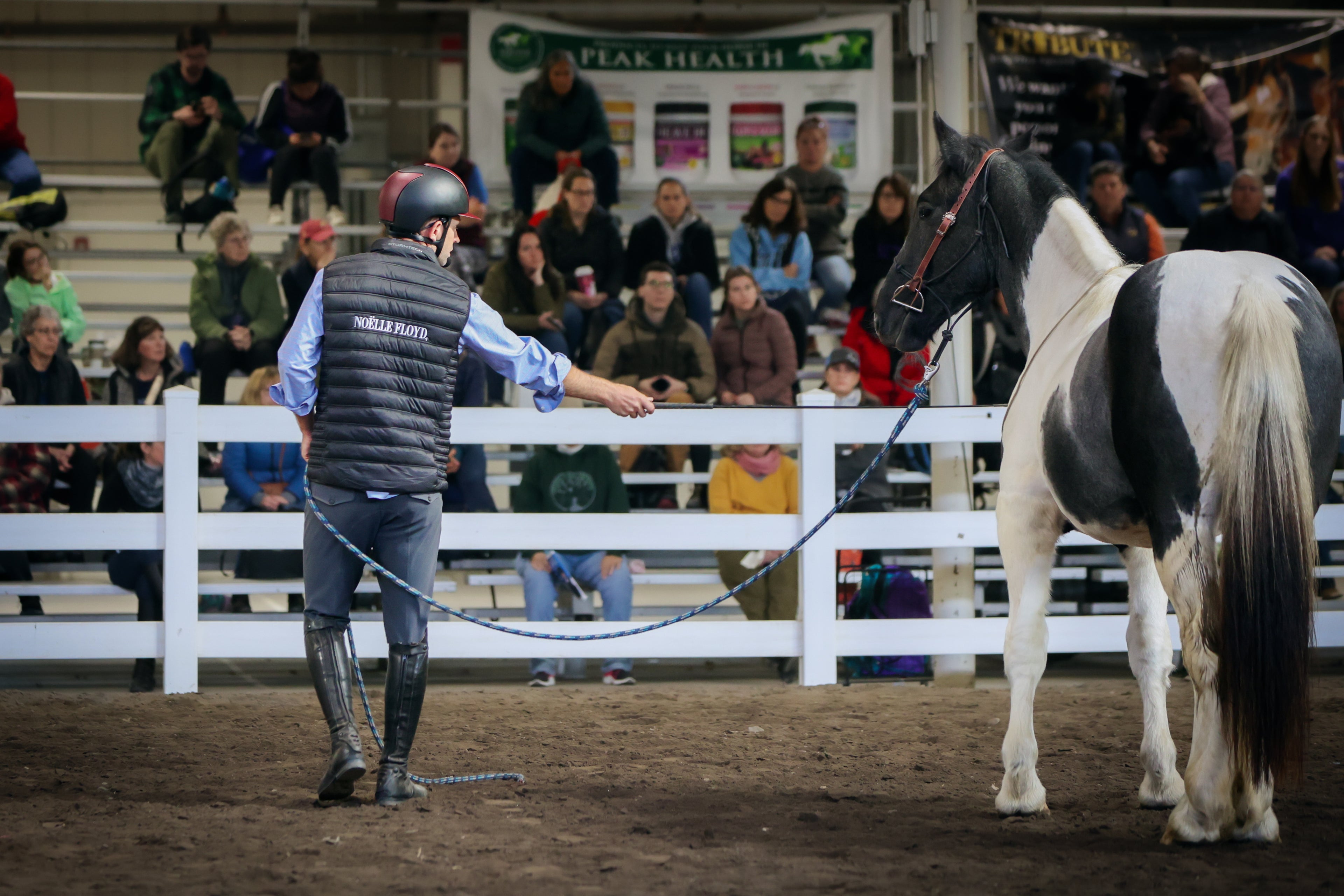 Equine Affaire Wrap-Up: Reflecting on an Unforgettable Experience