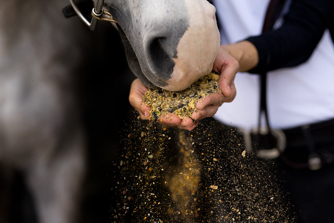 I Left Corporate America to Create My Own Equestrian Product. Here's What I Learned.