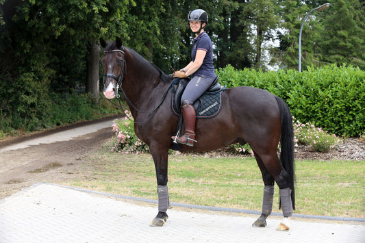 'They Say That We've Inspired New Interest in the Sport': Judy Reynolds and Vancouver K Return to Aachen After Injury