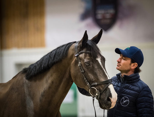 In It to Win It: A Snapshot From the Longines FEI World Cup™ Finals