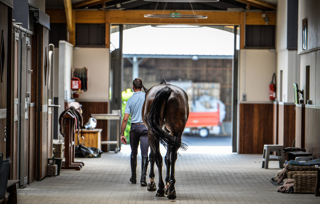 'I Don't Want to Be the Reason Someone Couldn't Be With a Loved One': The Riding Community Shares Tips, Encouragement During COVID-19