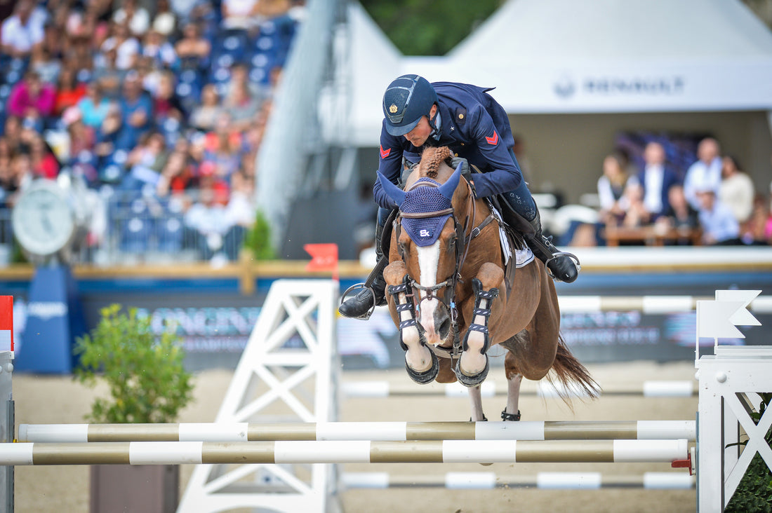 The Seven Most Important Jumping Stallions According to Frederik De Backer