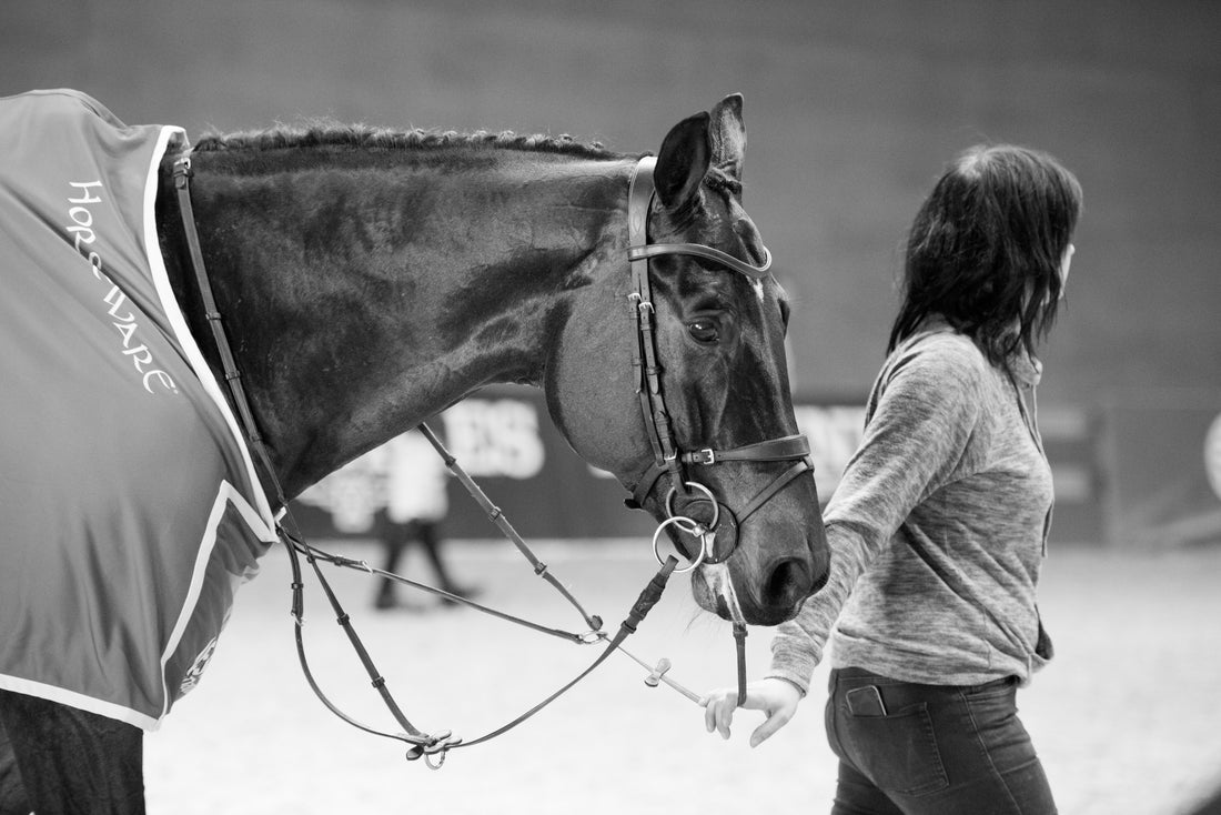 Supergroom Max Corcoran Is Back and Here To Help Get Your Horse On Their A-Game