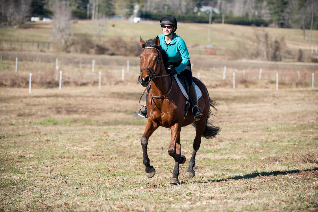 This App Took the Guesswork Out Of My Horse's Fitness Routine