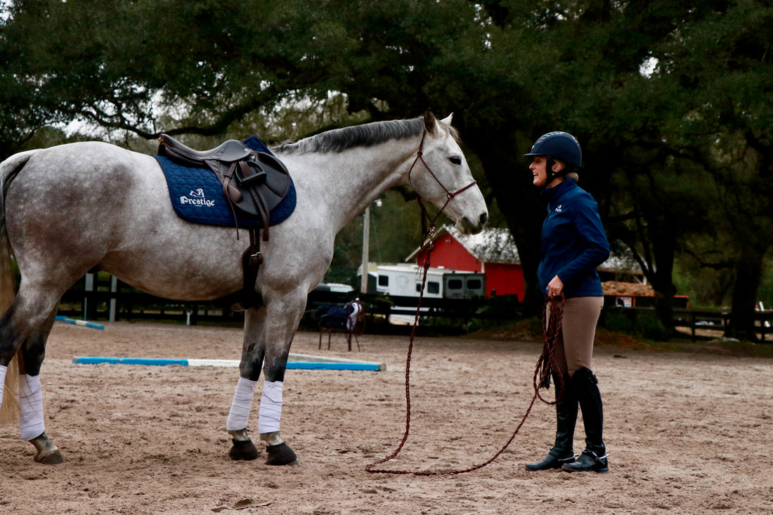 Two Ways I Use Positive Reinforcement Training in My Competitive Event Horse