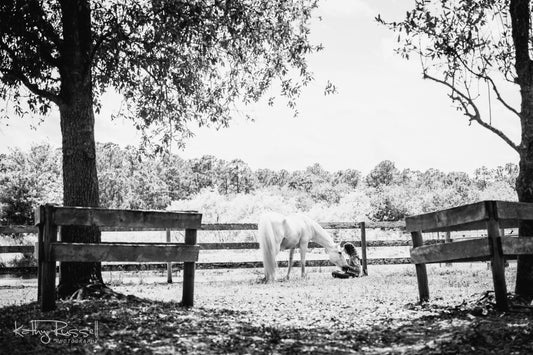 To the Horses Who Shaped Us, Loved Us, and Left Us Forever Changed