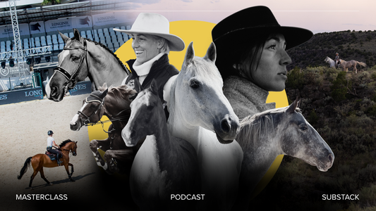 Dear Horse World Is Now the NOËLLE FLOYD Podcast